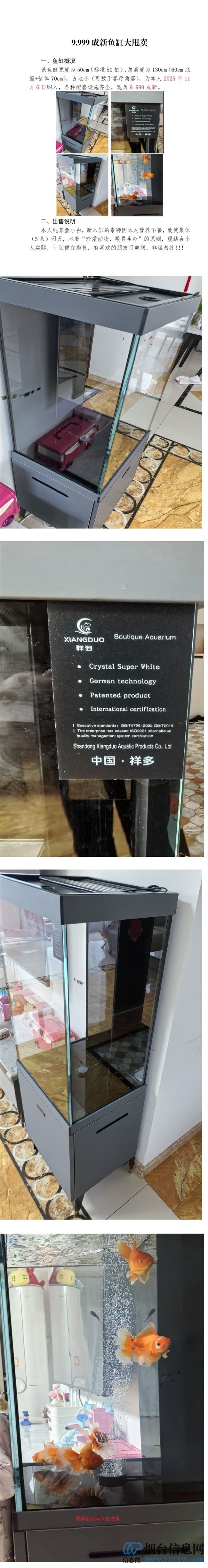 寻找有缘人（鱼缸）